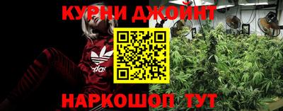 PSILOCYBIN Кинель
