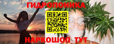 прущие грибы Апшеронск