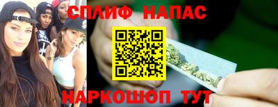 прущие грибы Апшеронск