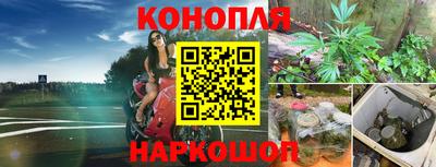 молекула духа Аргун