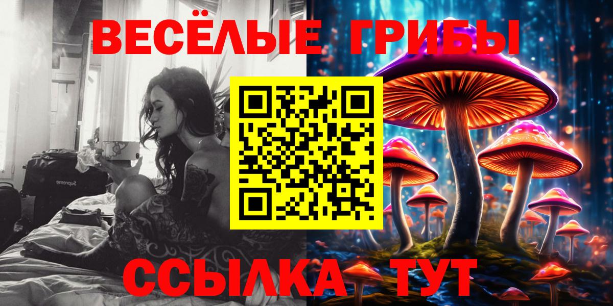 Псилоцибиновые грибы Magic Shrooms Татарск